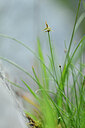 BUITEN BEELD Foto: 444519