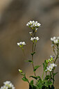 BUITEN BEELD Foto: 444520