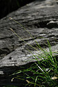 BUITEN BEELD Foto: 444528