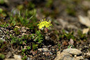 BUITEN BEELD Foto: 444533