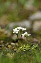 BUITEN BEELD Foto: 444536