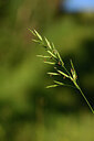 BUITEN BEELD Foto: 444538