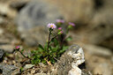 BUITEN BEELD Foto: 444539