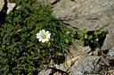 BUITEN BEELD Foto: 444541