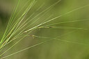 BUITEN BEELD Foto: 444543