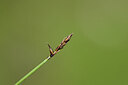 BUITEN BEELD Foto: 444544