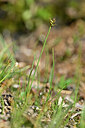 BUITEN BEELD Foto: 444545