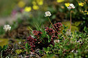 BUITEN BEELD Foto: 444548