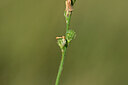 BUITEN BEELD Foto: 444552
