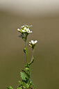 BUITEN BEELD Foto: 444557