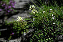 BUITEN BEELD Foto: 444560