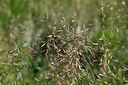 BUITEN BEELD Foto: 444563