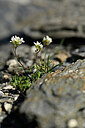 BUITEN BEELD Foto: 444566