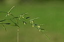 BUITEN BEELD Foto: 444569