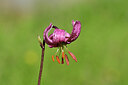 BUITEN BEELD Foto: 444570