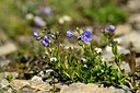 BUITEN BEELD Foto: 444573