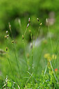 BUITEN BEELD Foto: 444574