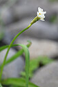 BUITEN BEELD Foto: 444575