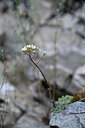 BUITEN BEELD Foto: 444577