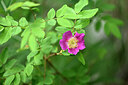 BUITEN BEELD Foto: 444579