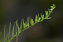 BUITEN BEELD Foto: 444580