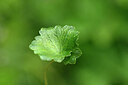 BUITEN BEELD Foto: 444582