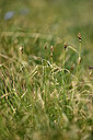 BUITEN BEELD Foto: 444583