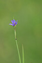 BUITEN BEELD Foto: 444587