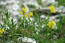 BUITEN BEELD Foto: 444588