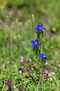 BUITEN BEELD Foto: 444589