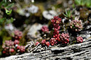 BUITEN BEELD Foto: 444590