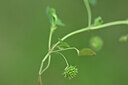 BUITEN BEELD Foto: 444591