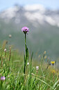 BUITEN BEELD Foto: 444597