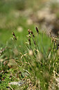 BUITEN BEELD Foto: 444600