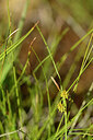 BUITEN BEELD Foto: 444601