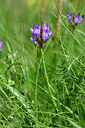 BUITEN BEELD Foto: 444603