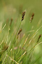 BUITEN BEELD Foto: 444604