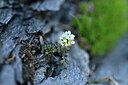 BUITEN BEELD Foto: 444606