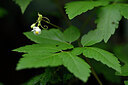 BUITEN BEELD Foto: 444607
