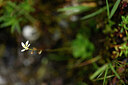 BUITEN BEELD Foto: 444608