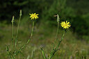 BUITEN BEELD Foto: 444609