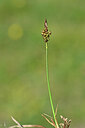 BUITEN BEELD Foto: 444610