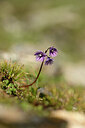 BUITEN BEELD Foto: 444611