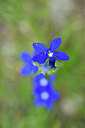 BUITEN BEELD Foto: 444615