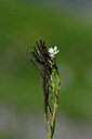 BUITEN BEELD Foto: 444617