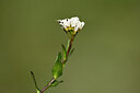 BUITEN BEELD Foto: 444621