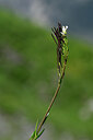 BUITEN BEELD Foto: 444626