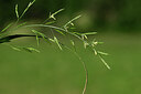 BUITEN BEELD Foto: 444627