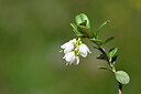 BUITEN BEELD Foto: 444632