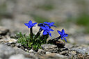 BUITEN BEELD Foto: 444634